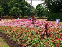 Hà Nội sẽ tổ chức Lễ hội phố hoa